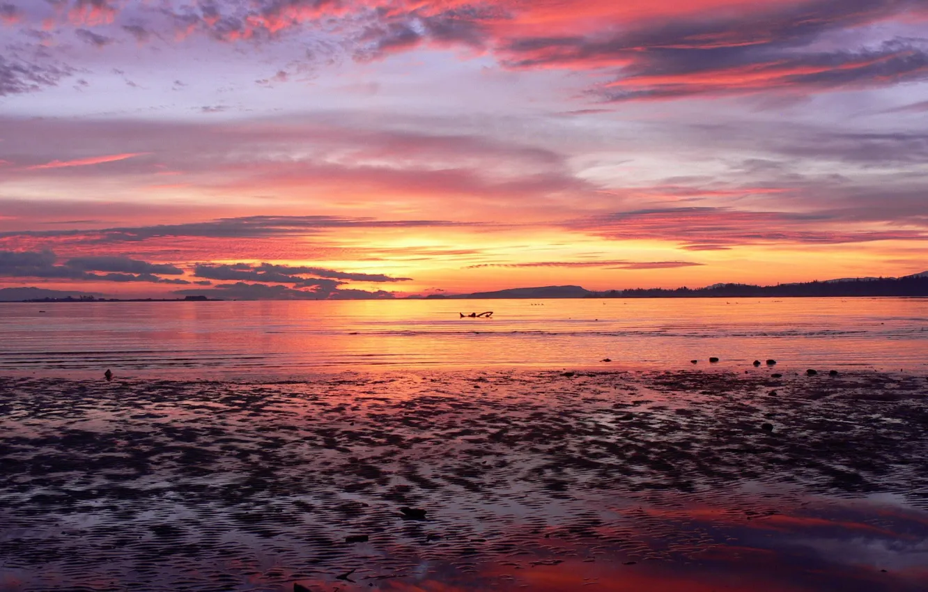Photo wallpaper sea, Sunset, horizon