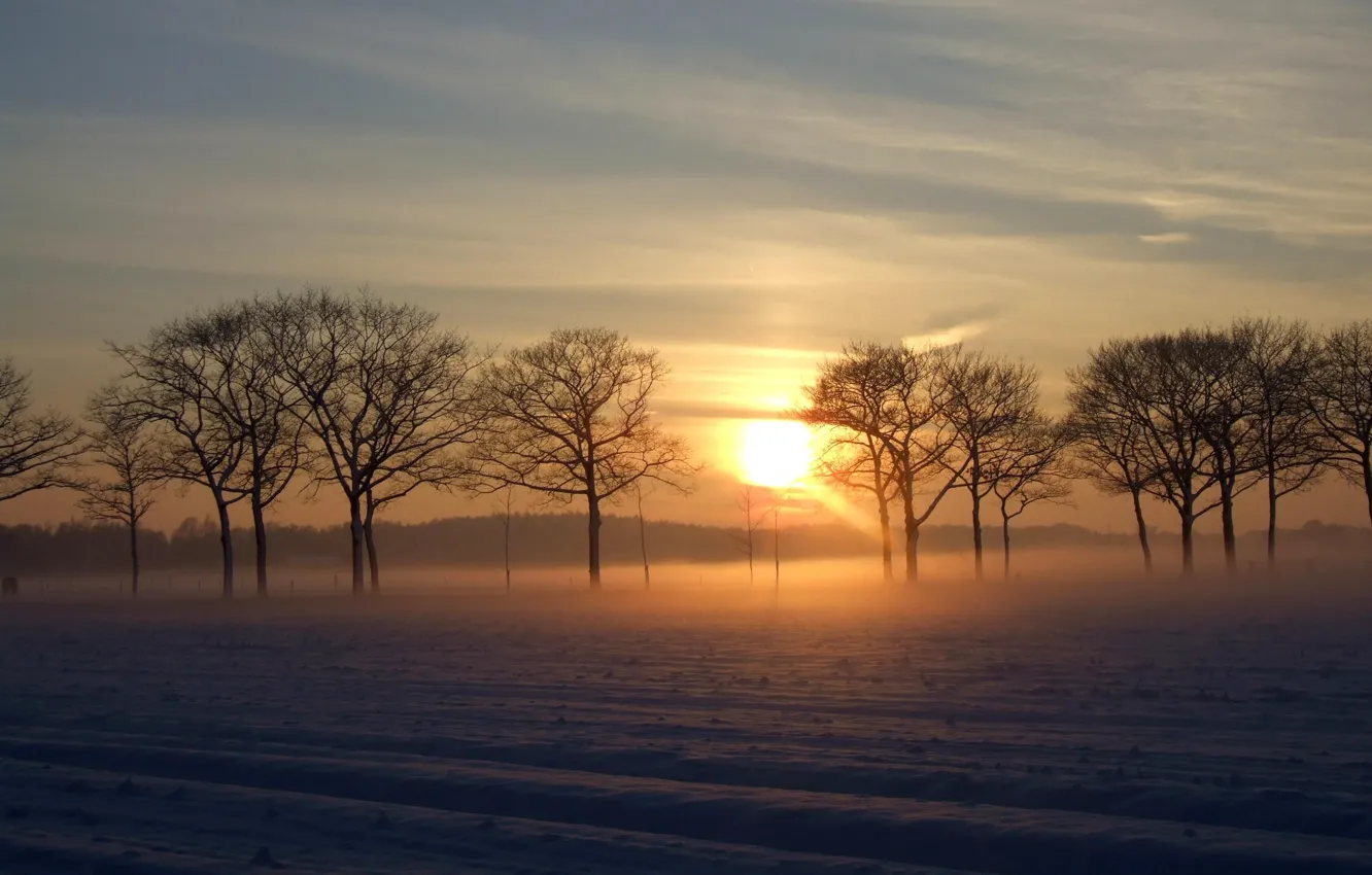 Photo wallpaper winter, the sky, the sun, snow, trees, morning
