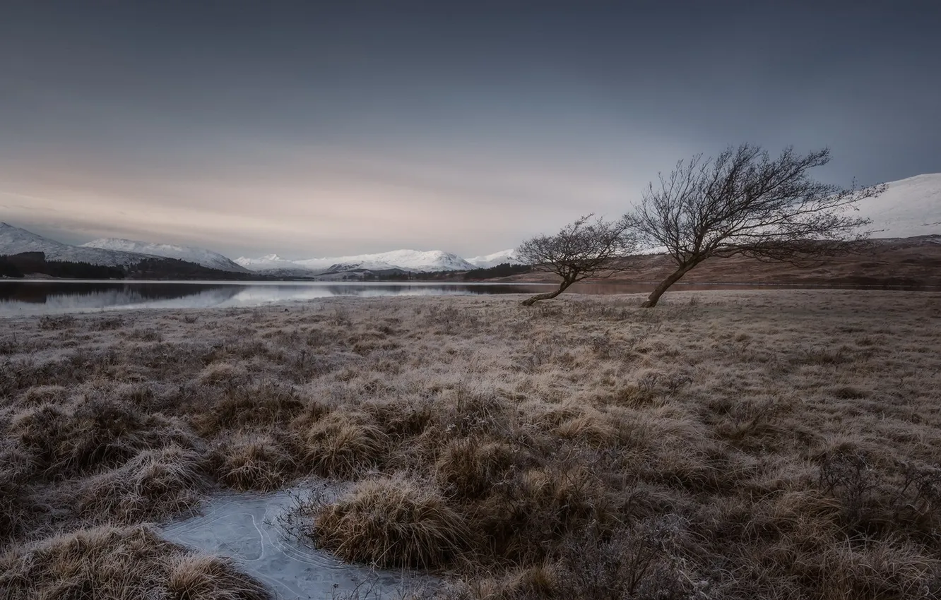 Photo wallpaper field, autumn, trees