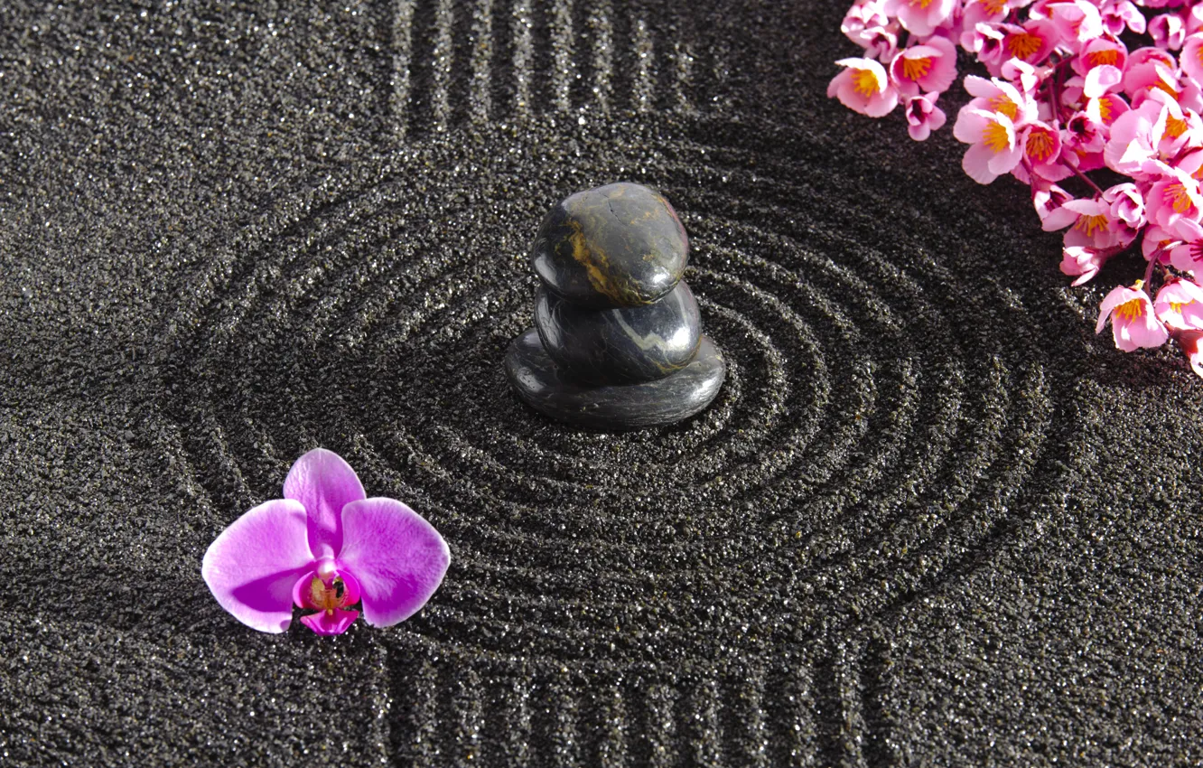 Photo wallpaper energy, flowers, stone, Japan, garden, Japan, stone, Zen