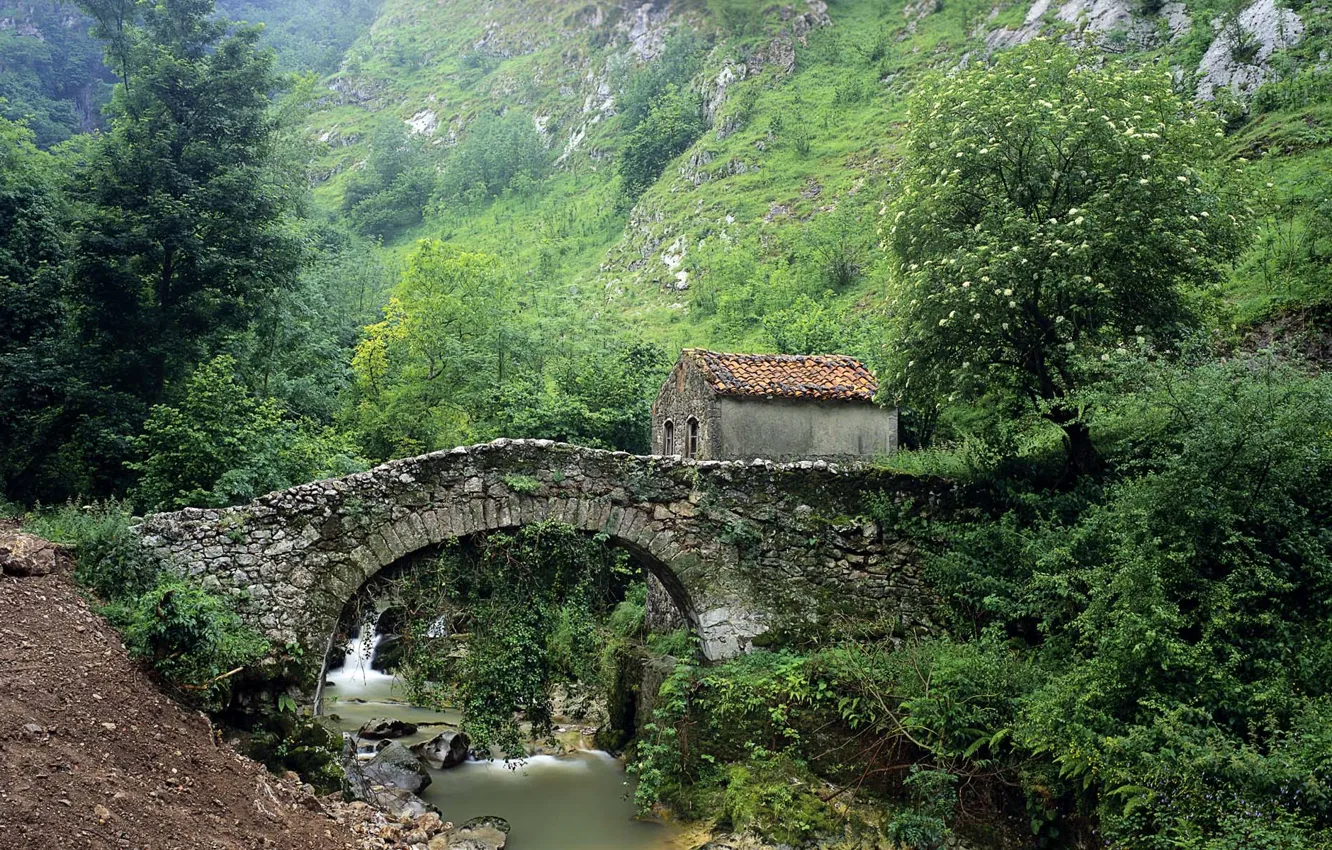 Photo wallpaper bridge, house, stone