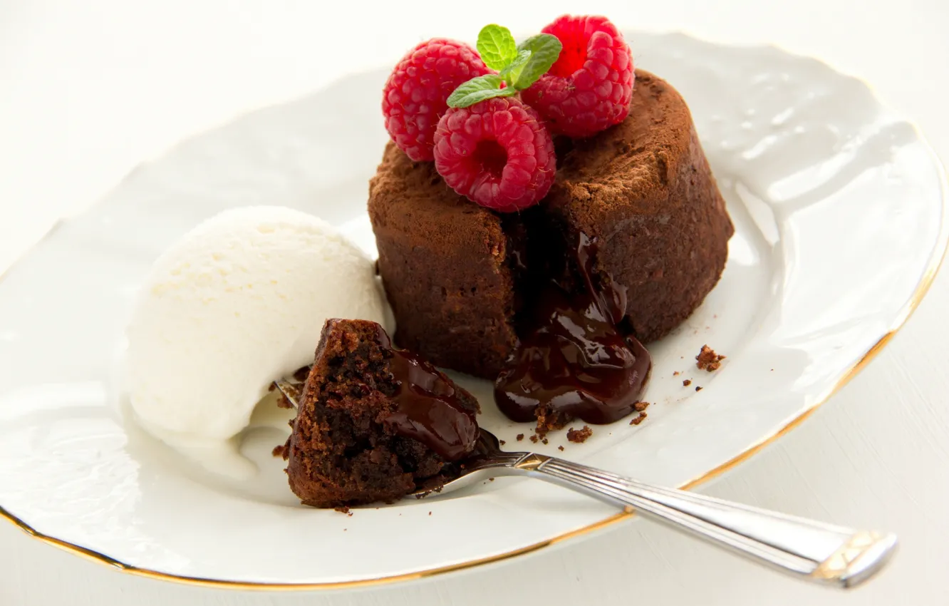 Photo wallpaper berries, raspberry, ice cream, dessert, chocolate fondant