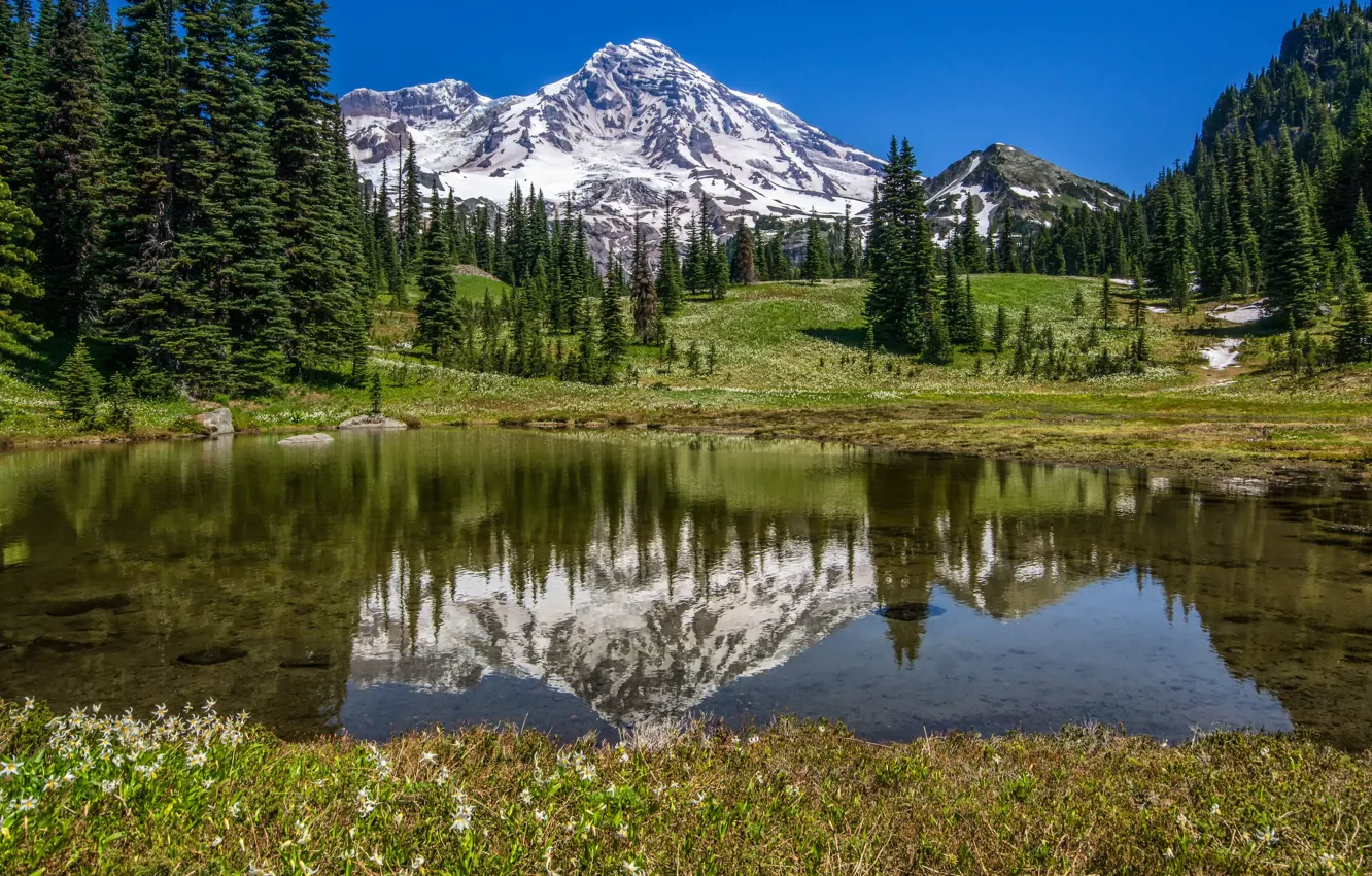 Photo wallpaper mountains, lake, USA, Mount Rainier