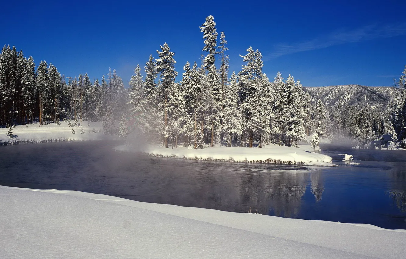 Photo wallpaper winter, snow, trees, river, tree, spruce