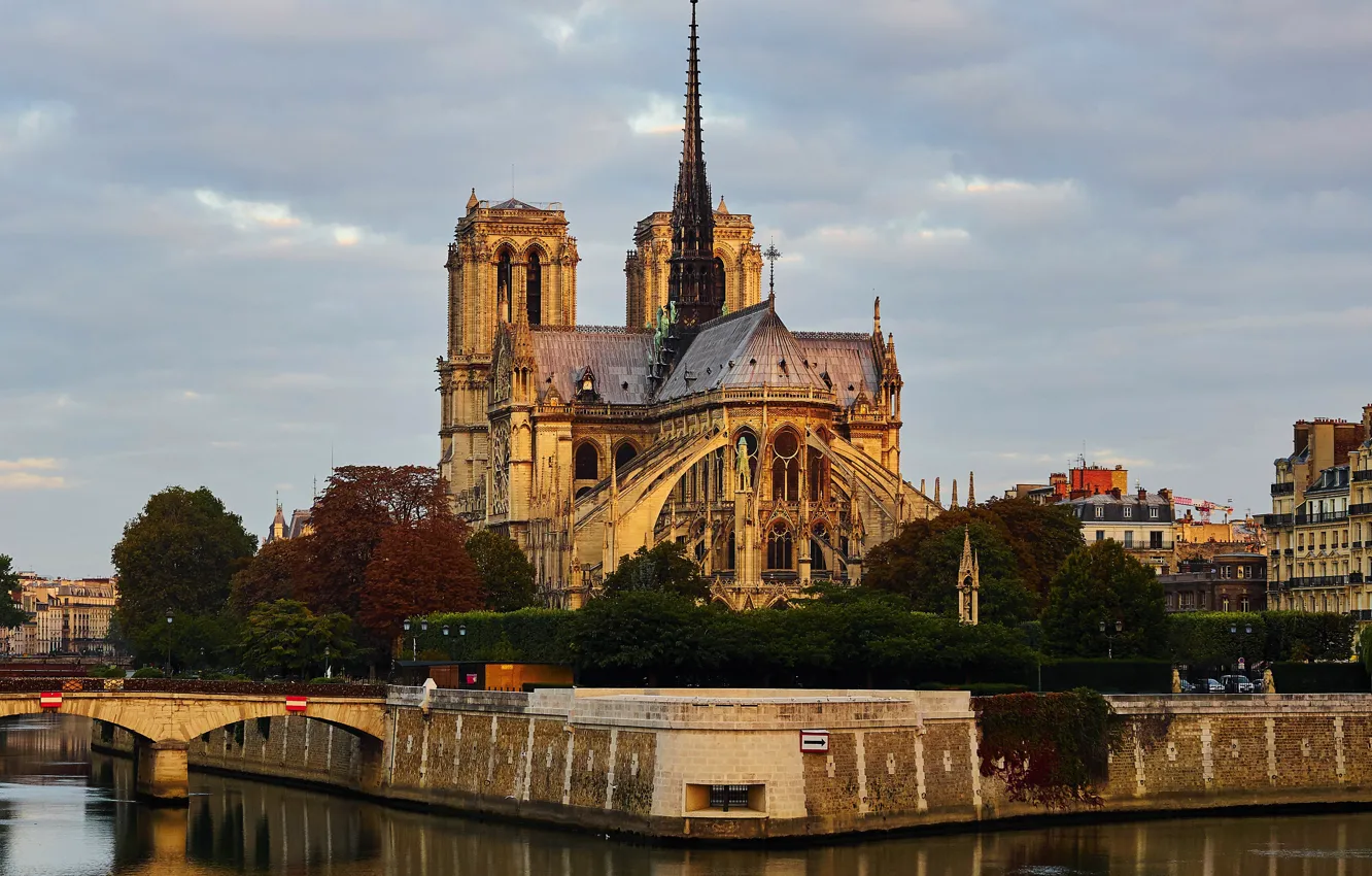 Photo wallpaper river, France, Paris, island, Hay, Notre Dame Cathedral, Notre Dame de Paris, Sieve