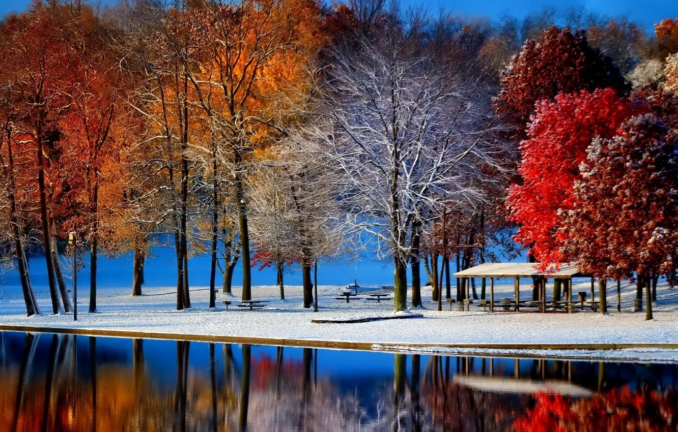 Photo wallpaper winter, frost, autumn, leaves, water, snow, trees, landscape
