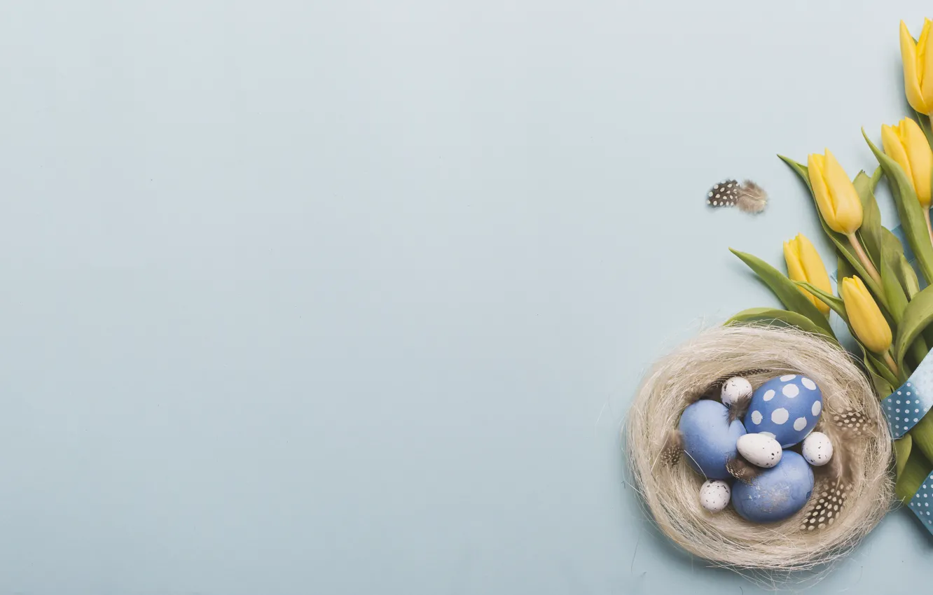 Photo wallpaper flowers, holiday, Easter, socket, tulips