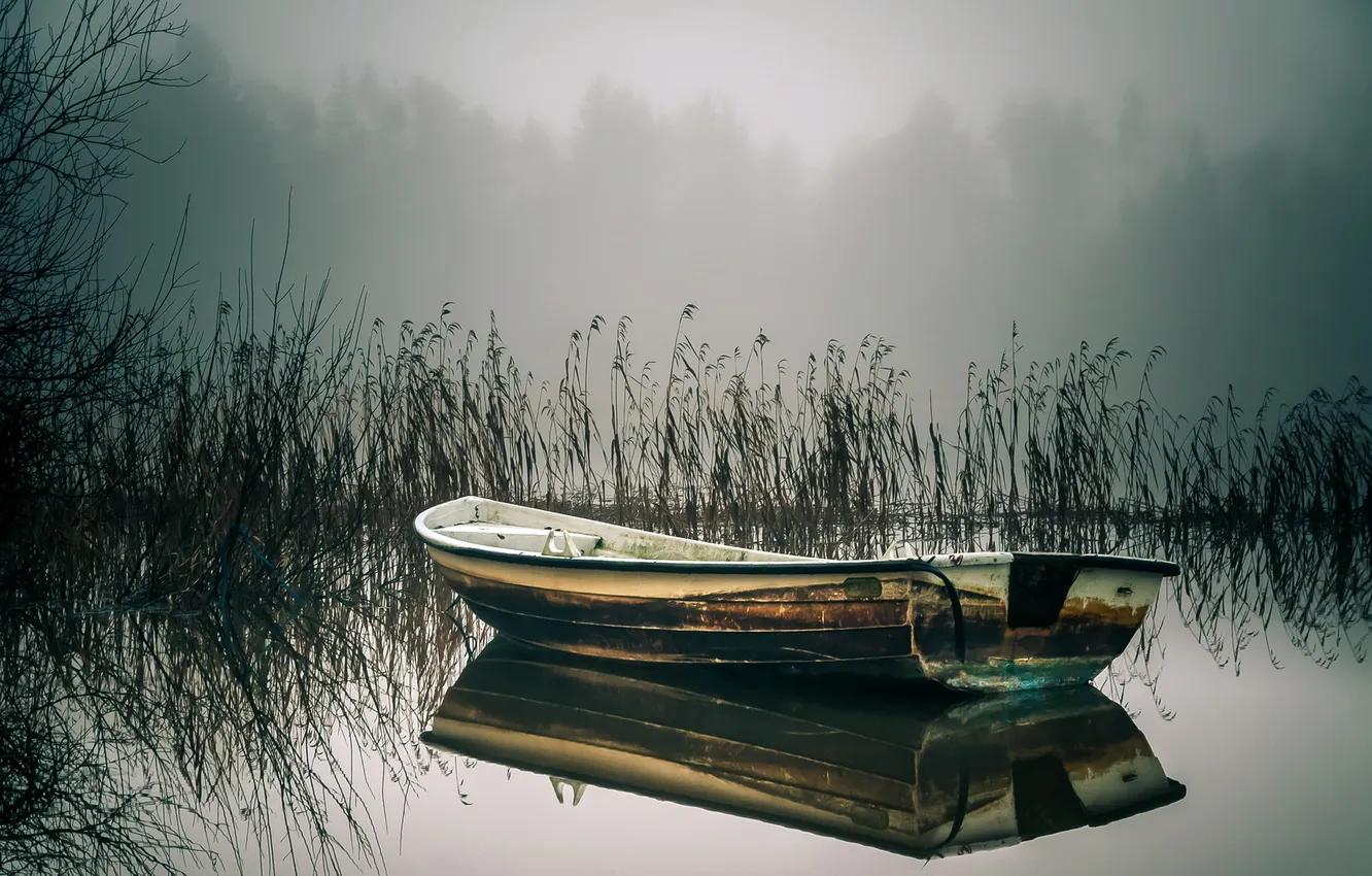 Photo wallpaper lake, boat, reed