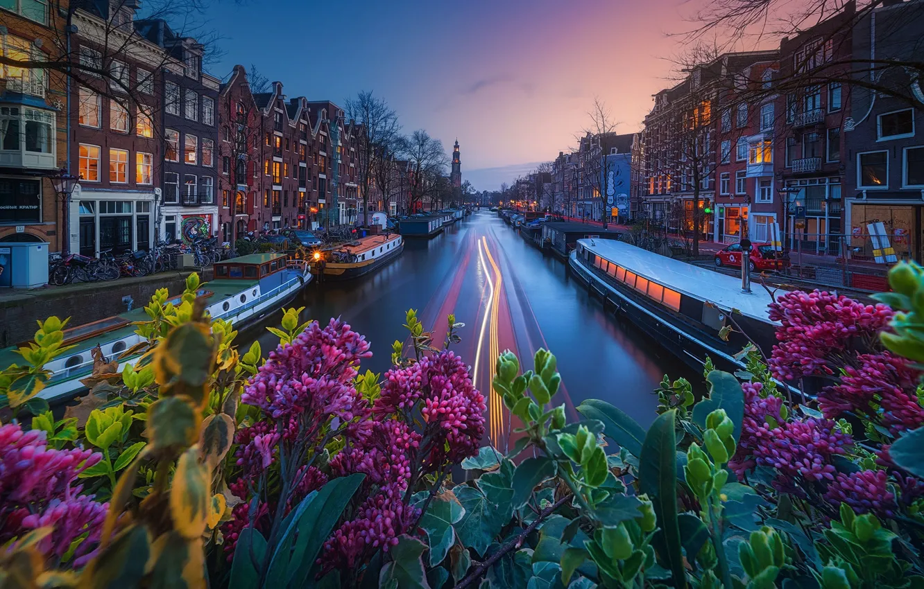 Photo wallpaper light, the city, lights, Amsterdam, channel