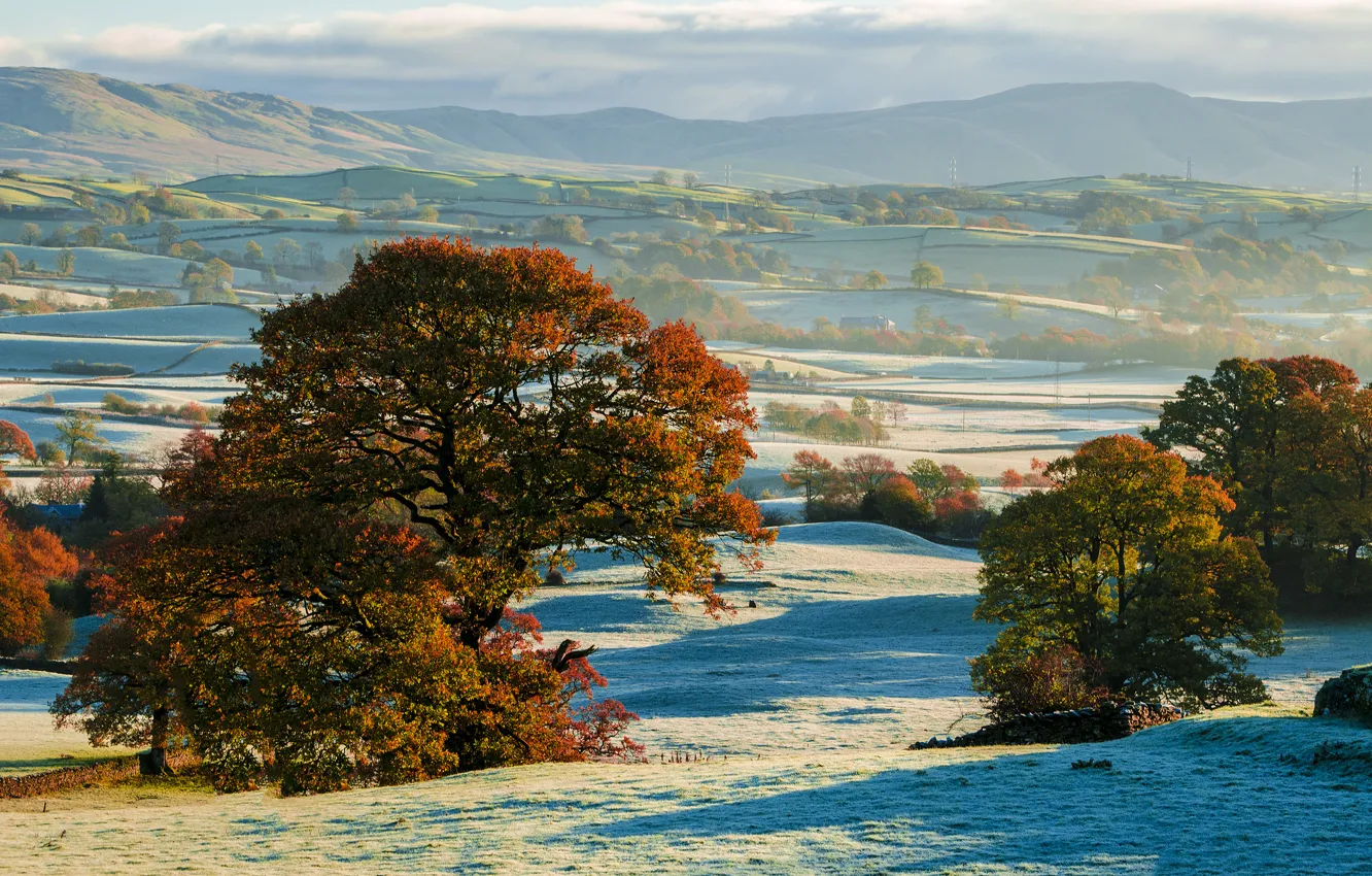 Photo wallpaper frost, field, autumn, trees, hills, the first snow