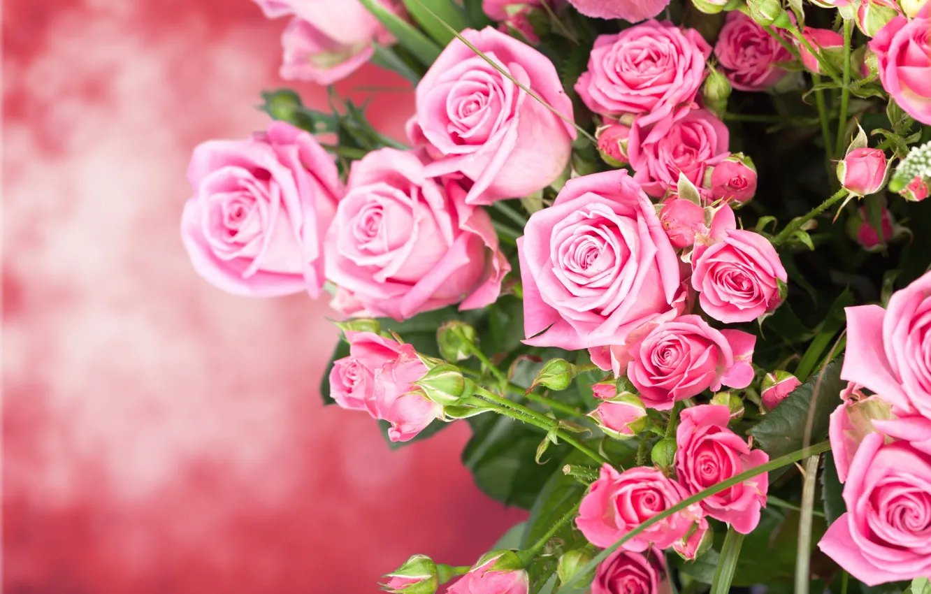 Photo wallpaper roses, bouquet, buds