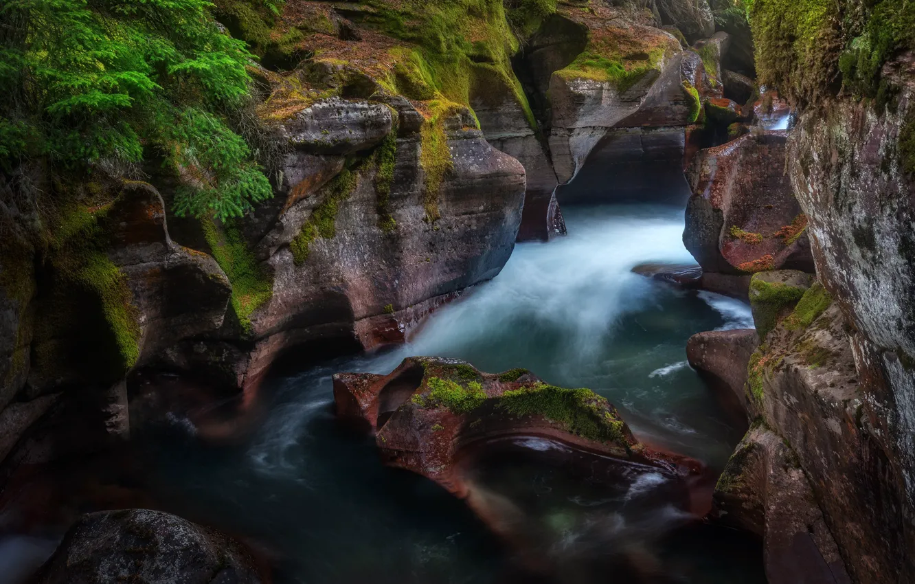 Photo wallpaper rocks, USA, Glacier National Park, Montana, Avalanche Creek