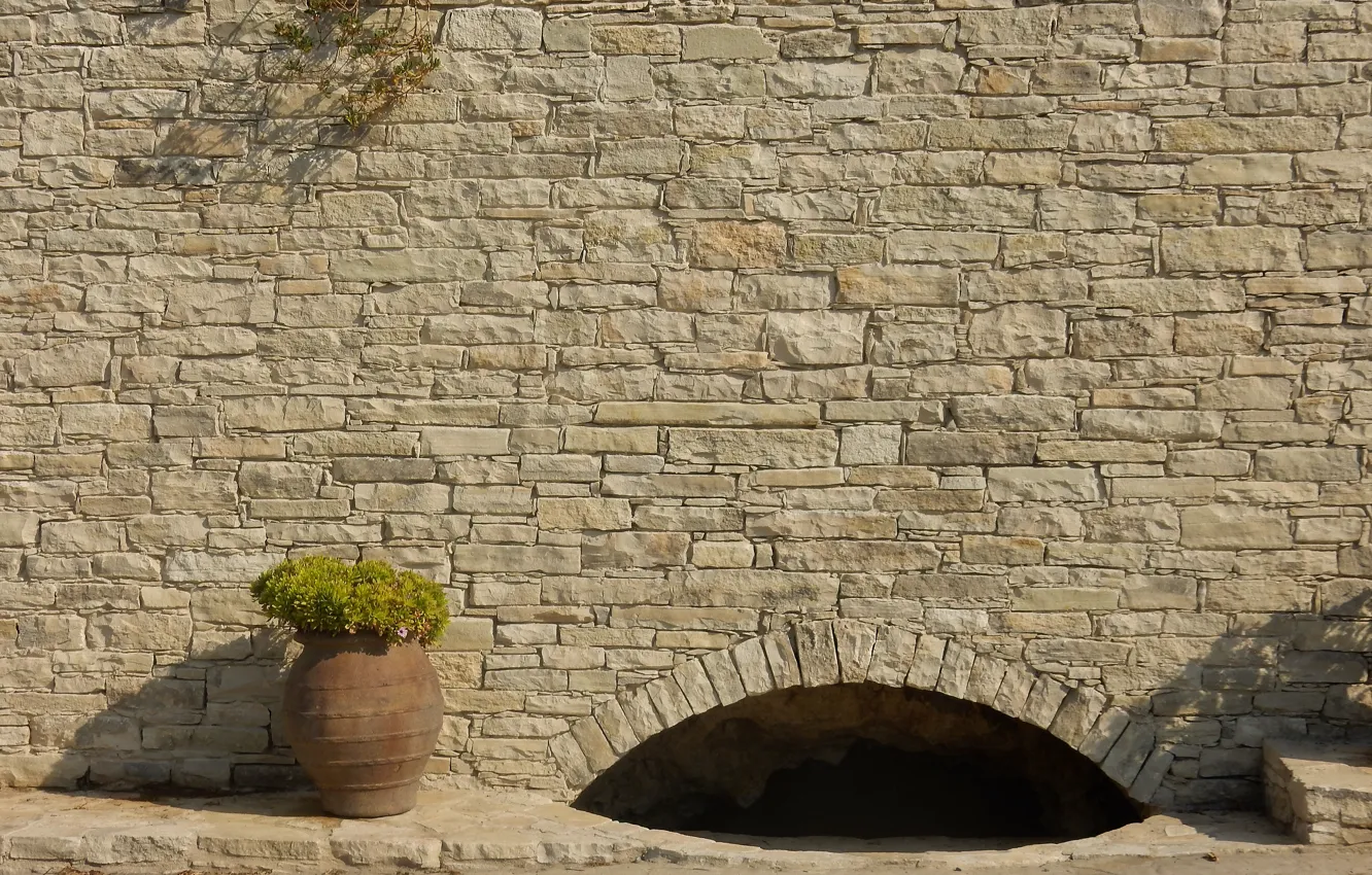Photo wallpaper flowers, stones, background, wall, widescreen, Wallpaper, structure, arch