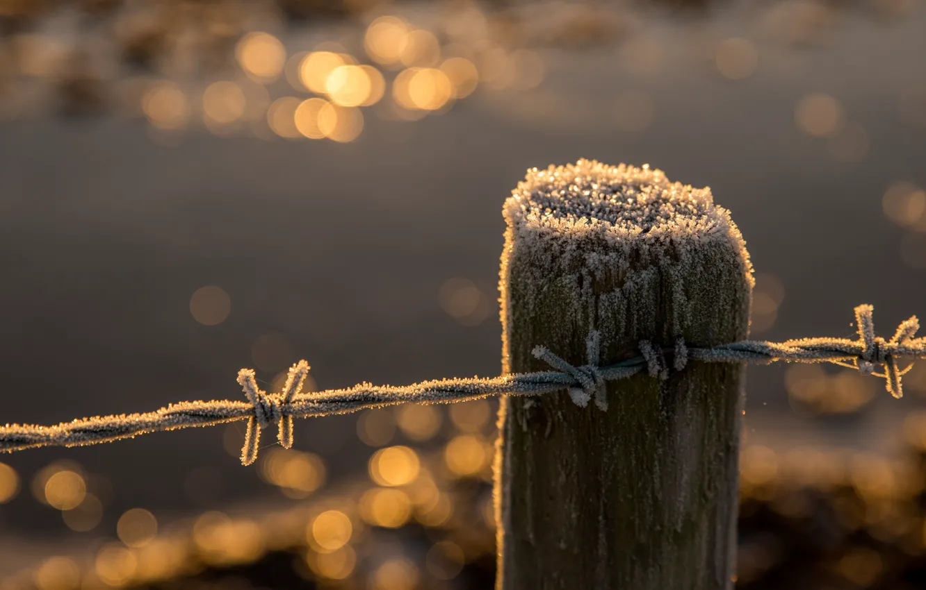 Photo wallpaper frost, posts, barbed wire, frost