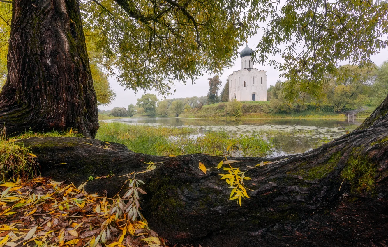 Photo wallpaper autumn, Park, Church