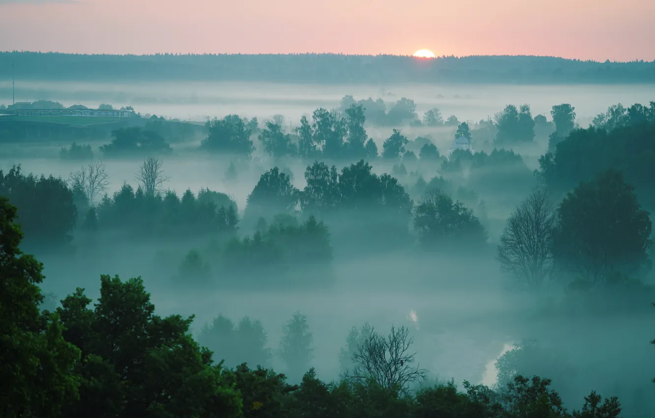 Photo wallpaper fog, sunrise, dawn, morning