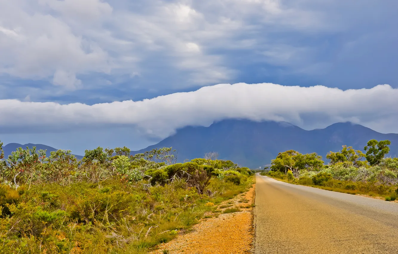Photo wallpaper road, the sky, clouds, trees, mountains, clouds, the bushes