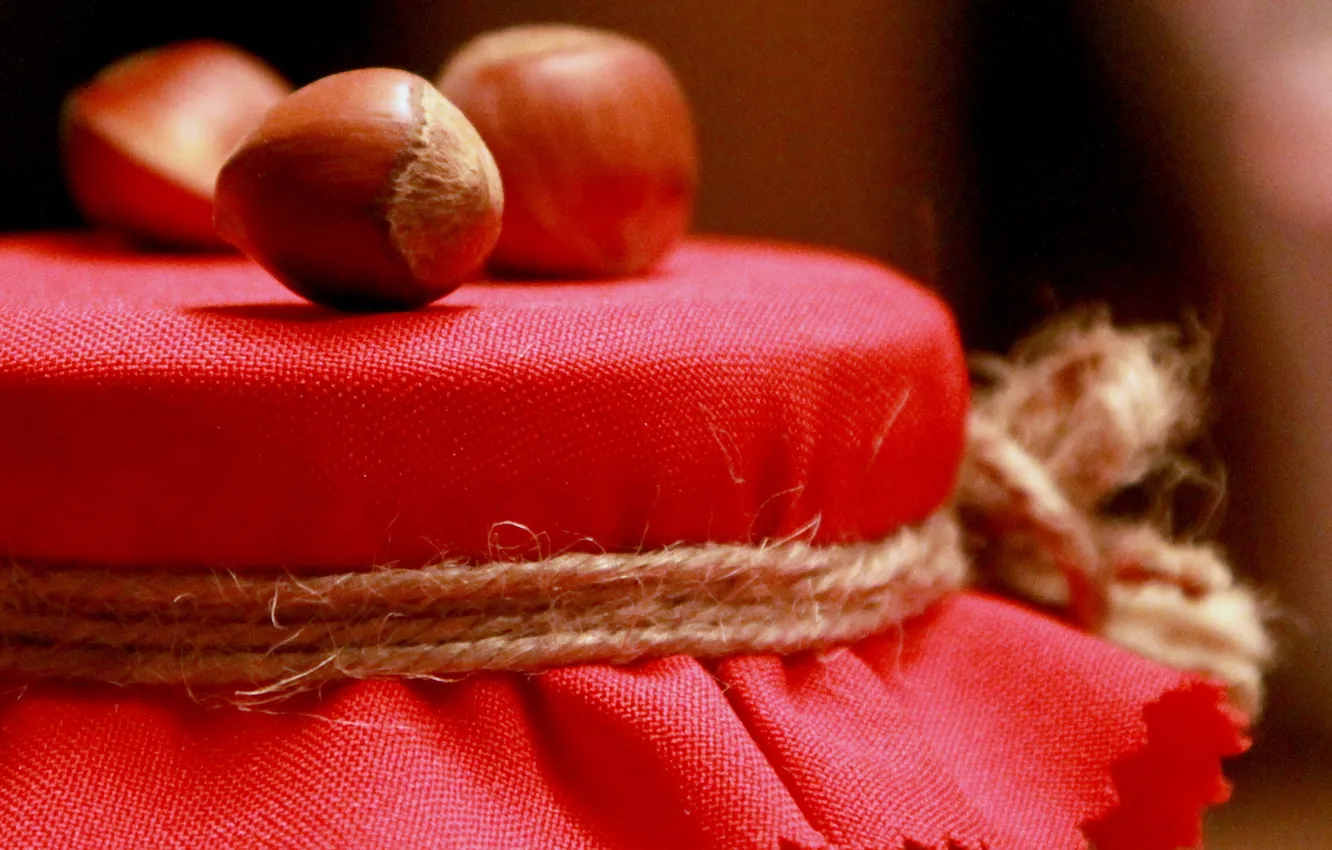Photo wallpaper macro, rope, Bank, nuts