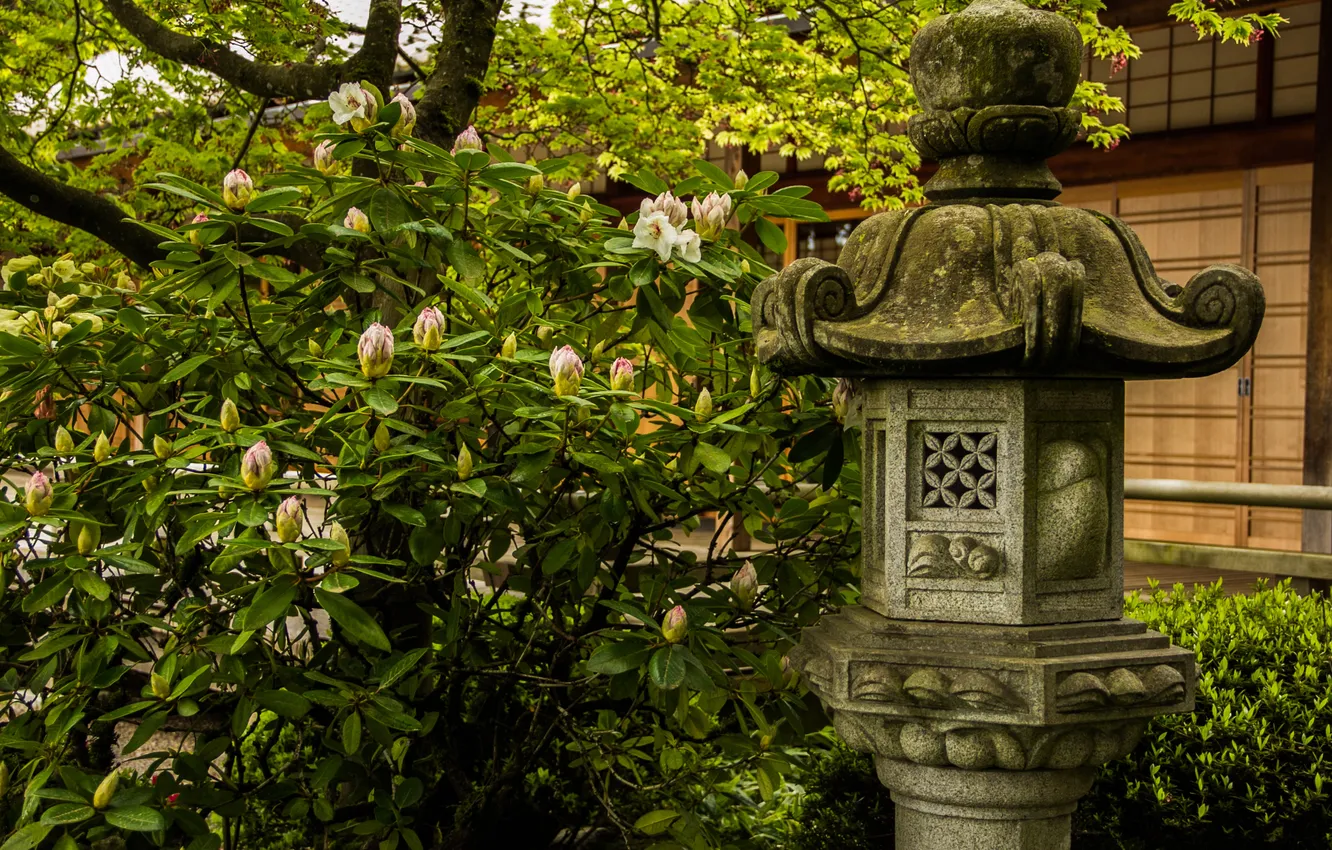 Photo wallpaper greens, leaves, flowers, Japan, garden, lights, the bushes, stone