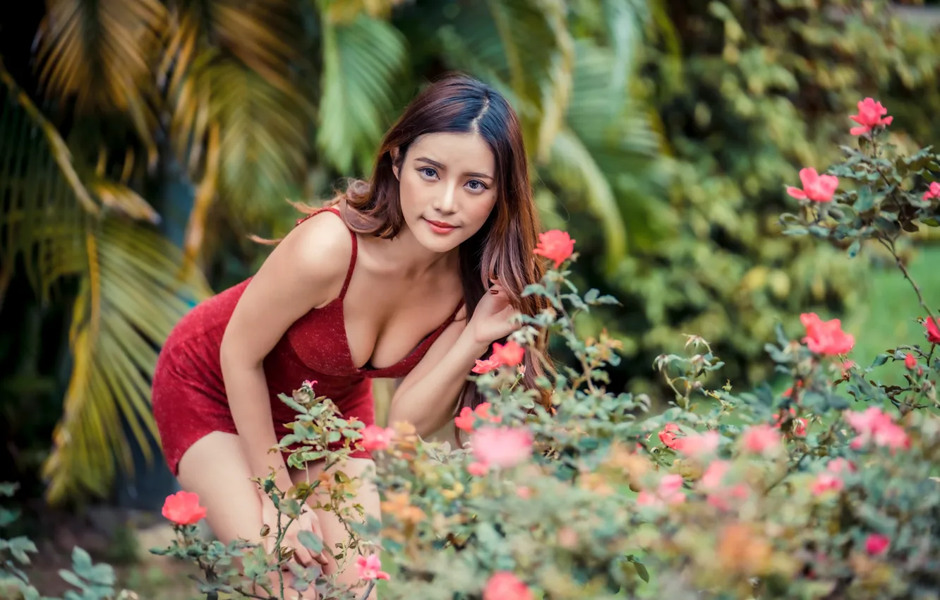 Photo wallpaper look, pose, hair, dress, Asian