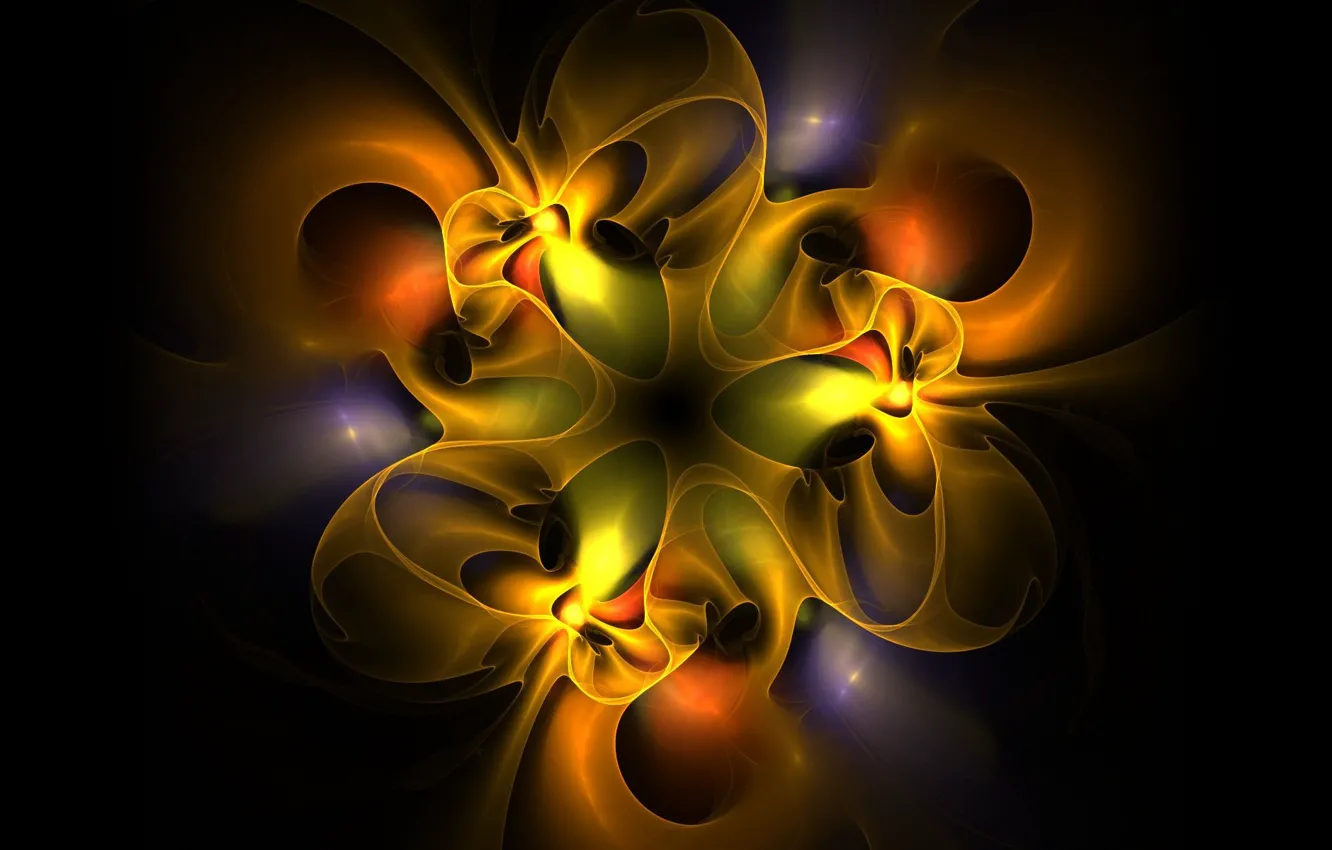 Photo wallpaper flower, background, pattern, fractal, symmetry