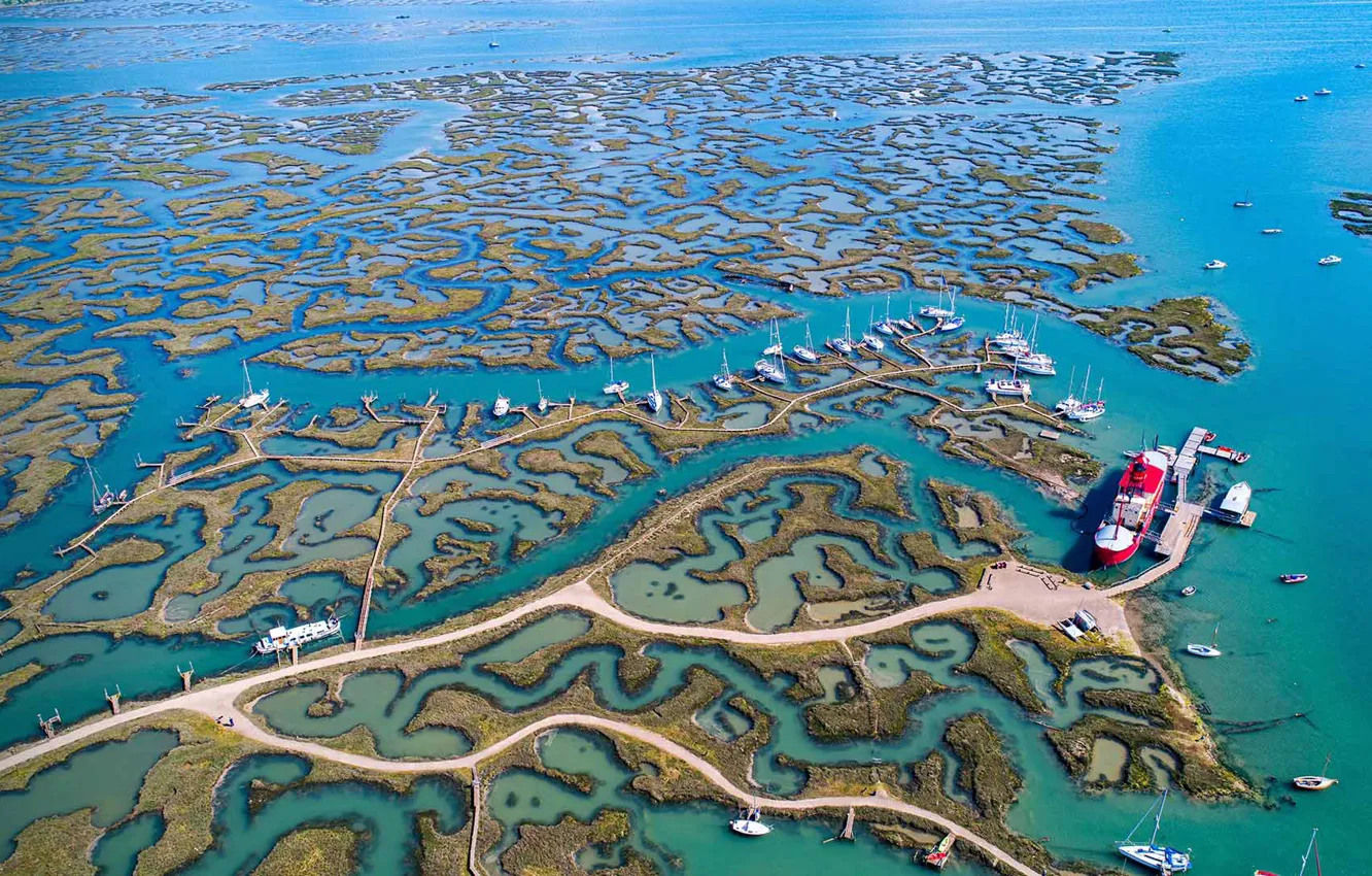 Photo wallpaper sea, ship, England, yacht, Sussex, Tollsbury Marina