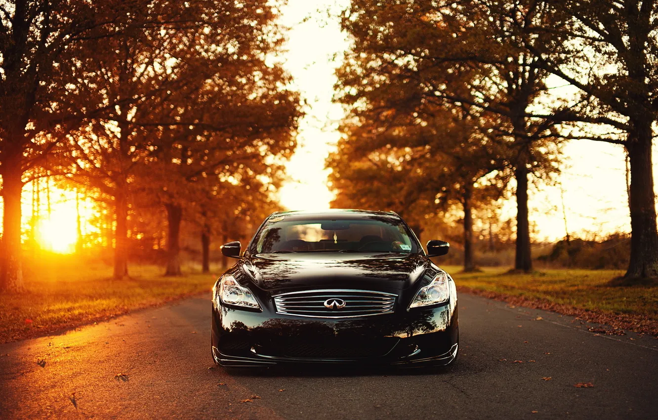 Photo wallpaper road, the sun, light, trees, sunset, Infiniti, infiniti, G37