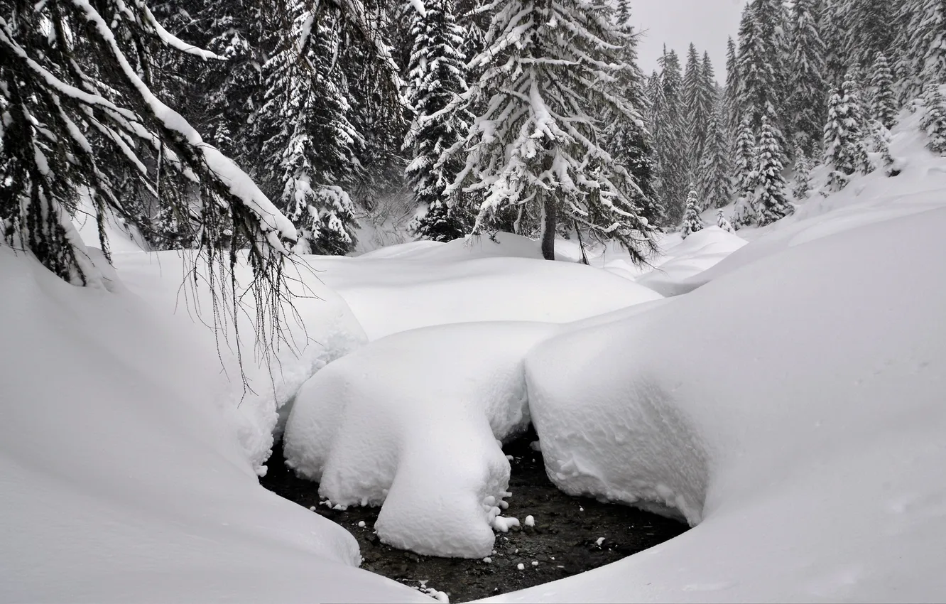 Photo wallpaper winter, forest, water, snow, trees, stream, the snow