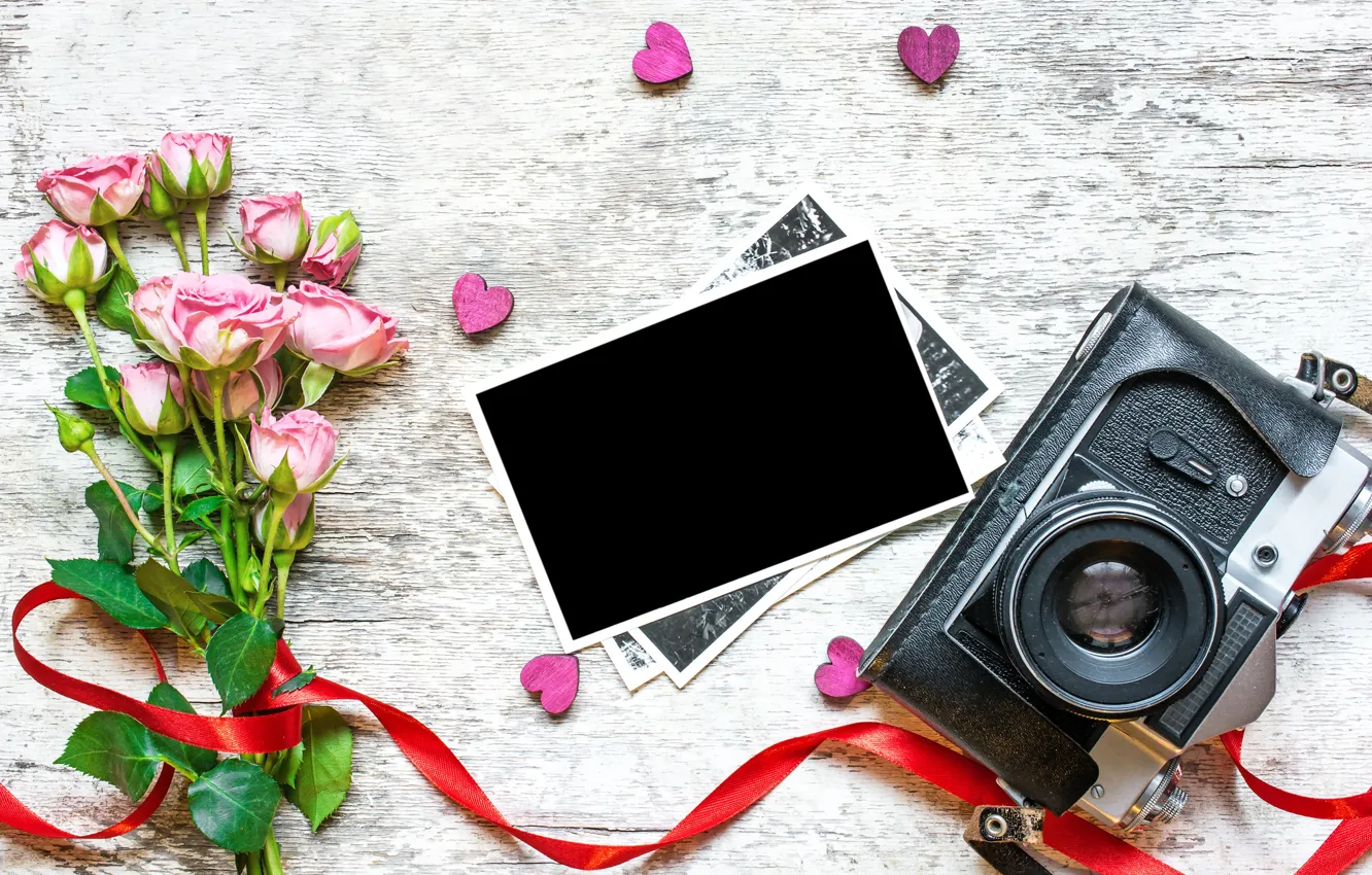 Photo wallpaper flowers, photo, gift, roses, bouquet, camera, frame, petals