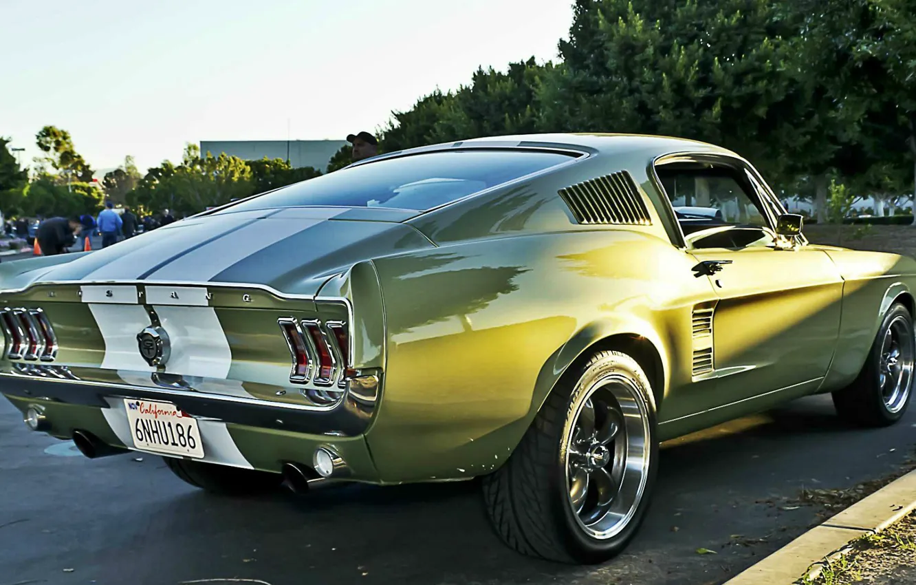 Photo wallpaper Mustang, Ford, muscle car
