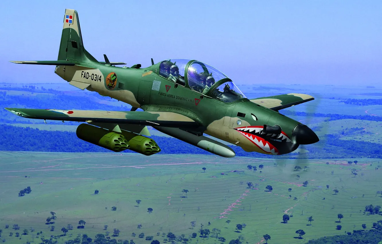 Photo wallpaper flight, landscape, pilot, attack, the plane