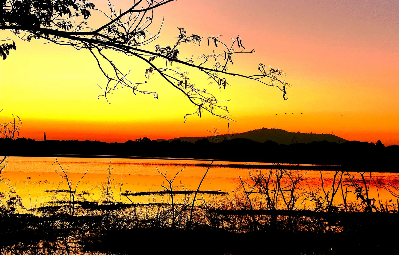 Photo wallpaper trees, water, lake, morning, sun, sunrise, dawn, woods