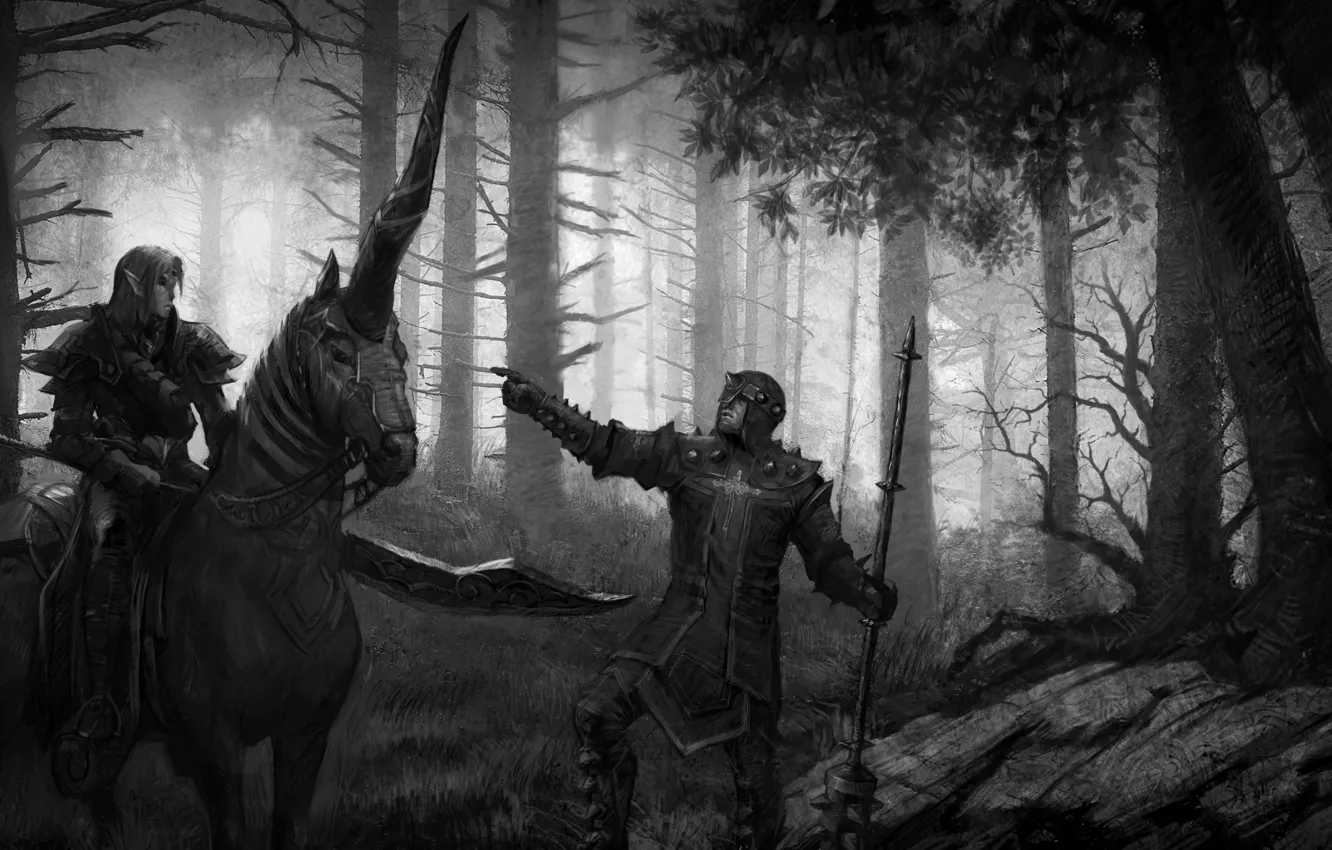 Photo wallpaper elf, unicorn, Disciples 3: Renaissance, the Inquisitor