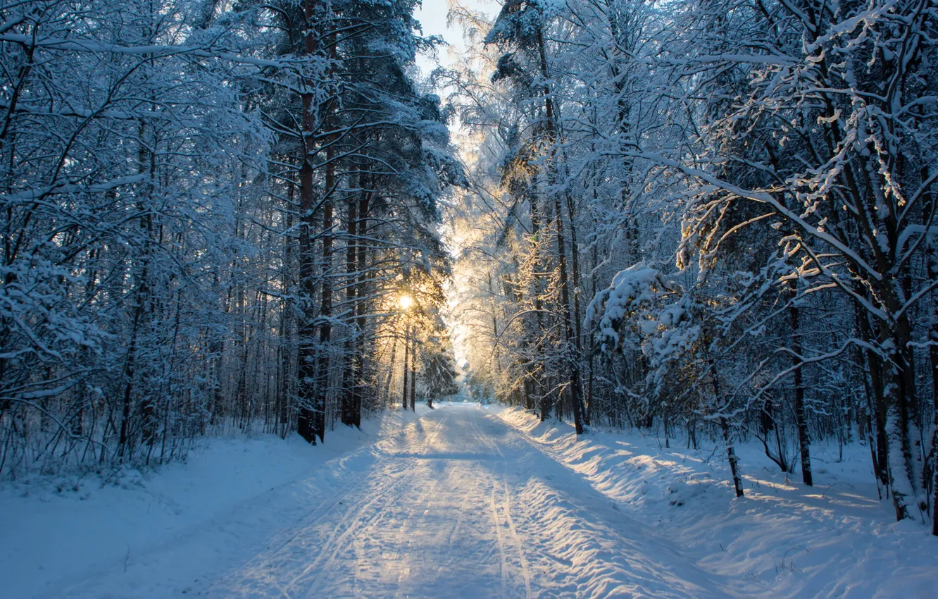 Photo wallpaper road, the sun, snow, morning, frost