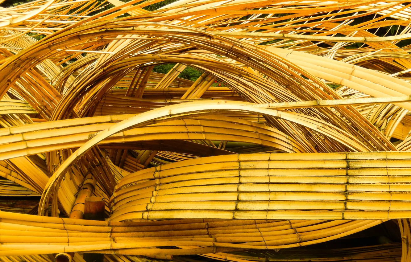 Photo wallpaper background, widescreen, Wallpaper, bamboo, wallpaper, widescreen, background, beautiful Wallpaper