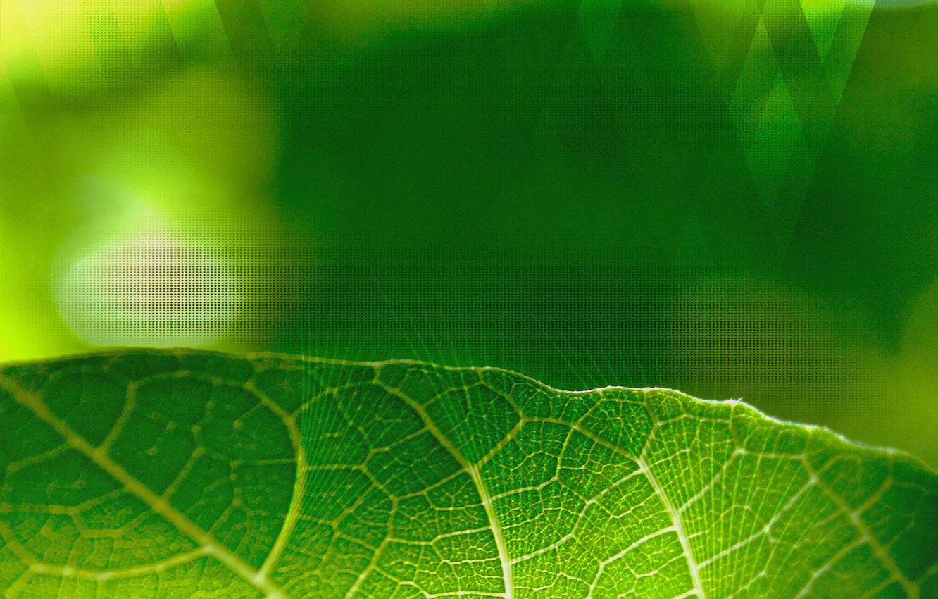 Wallpaper green, nature, art, beautiful for mobile and desktop, section ...