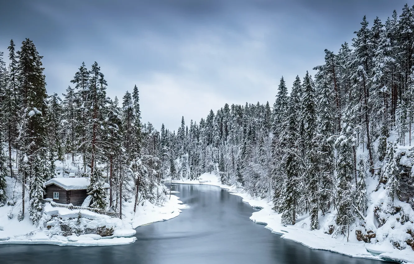 Photo wallpaper winter, forest, house, river