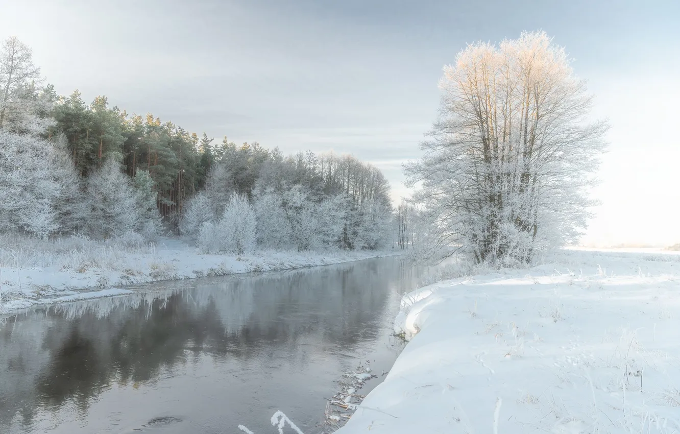 Photo wallpaper winter, frost, forest, snow, river, winter day, the beauty of nature, Ruslan Avdevich