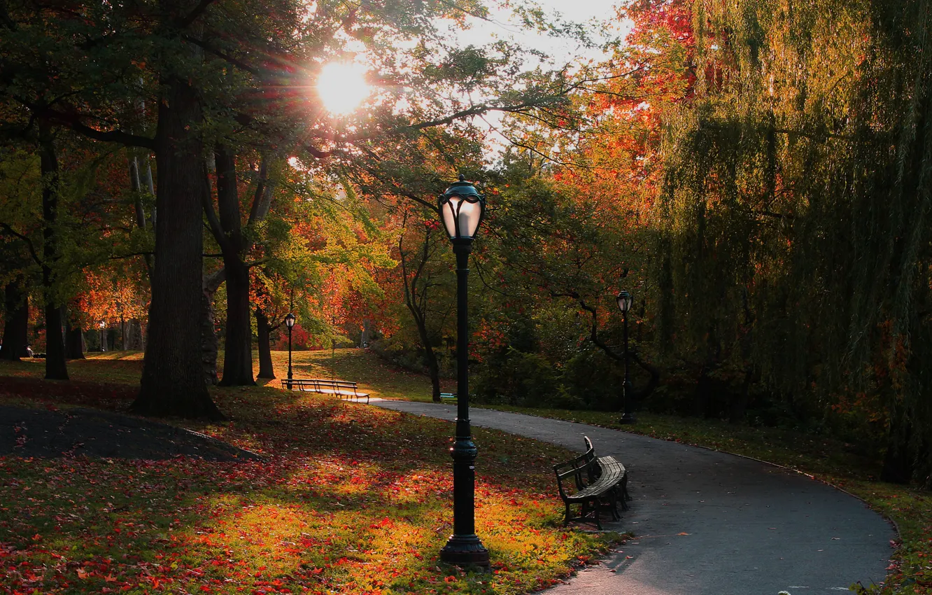 Photo wallpaper autumn, the sun, trees, bench, Park, New York, lights, track