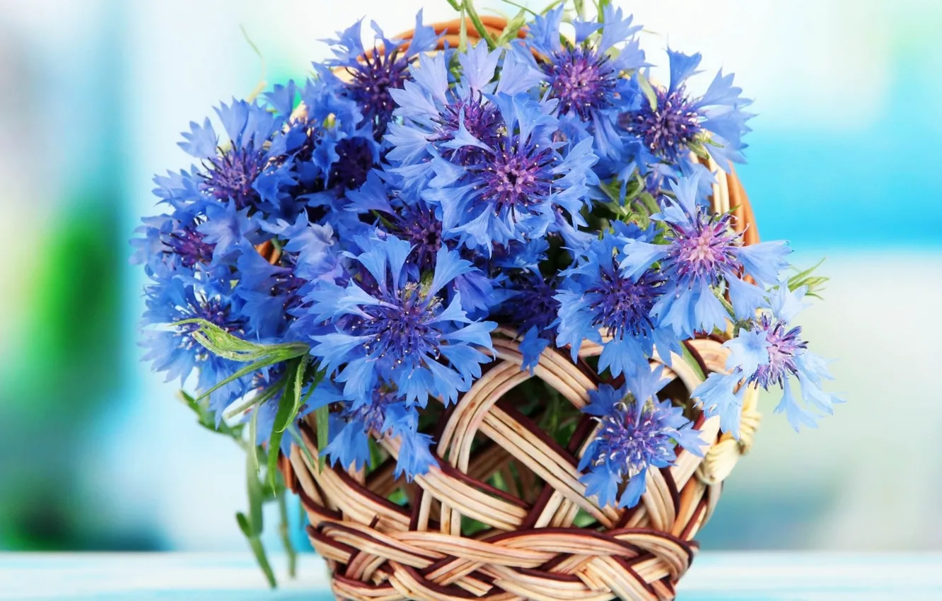Photo wallpaper cornflowers, wildflowers, bouquet in a basket