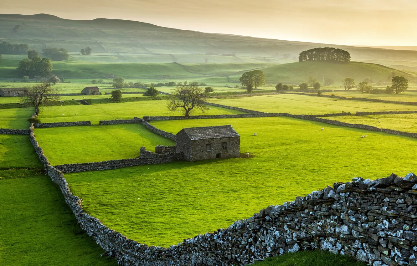 Photo wallpaper green grass, space, haze, structure, North Yorkshire, North Yorkshire, Wensleydale National Park, Wensleydale National Park