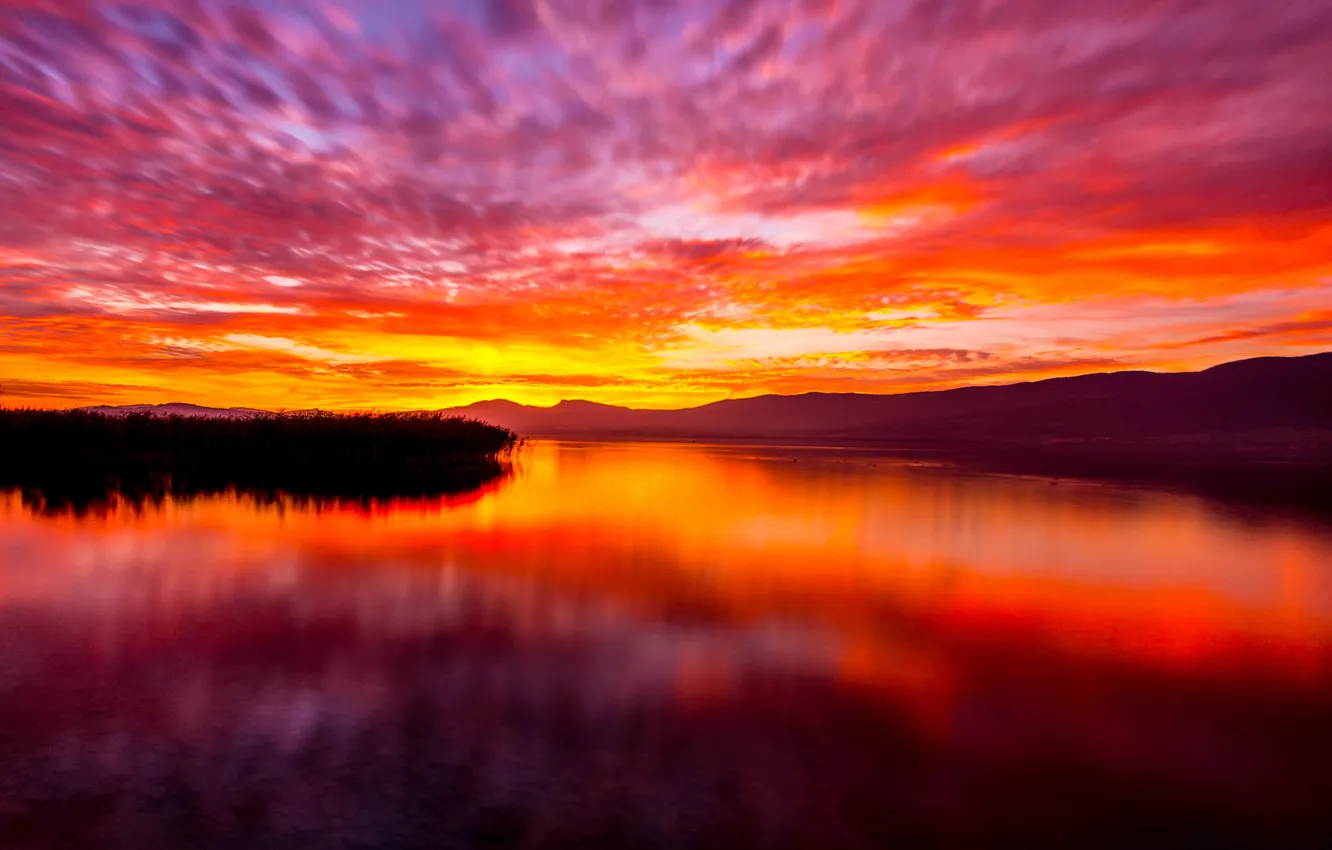 Photo wallpaper forest, the sky, landscape, mountains, lake, dawn