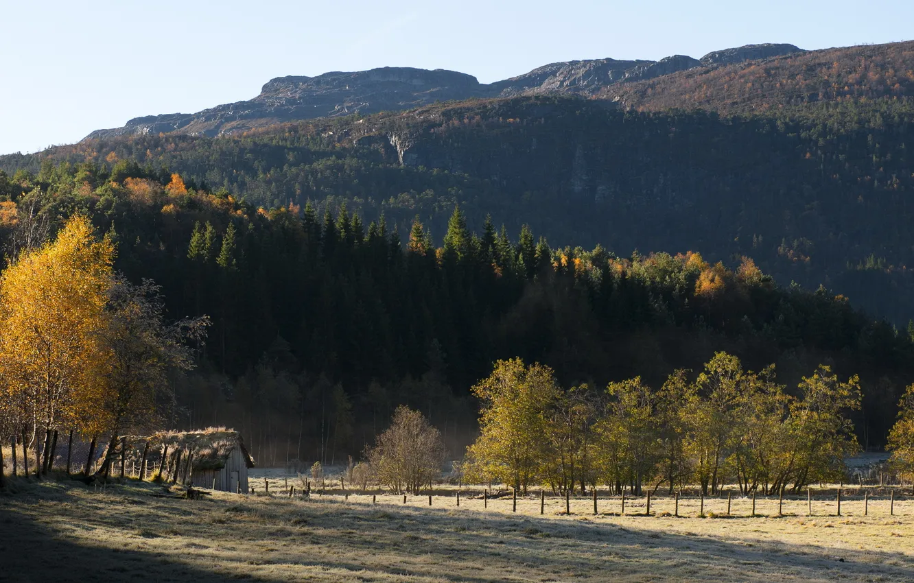 Photo wallpaper field, landscape, mountains, home