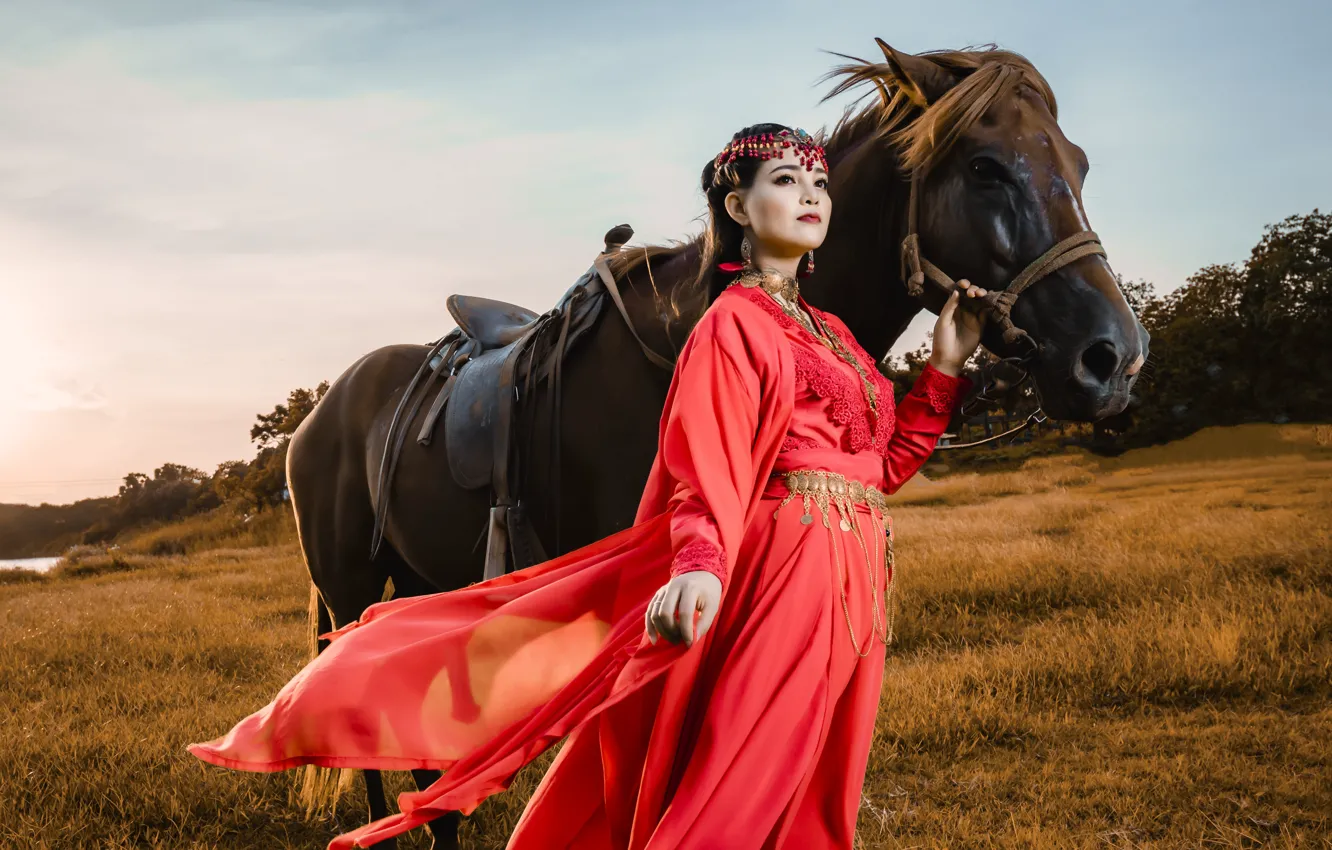 Photo wallpaper field, girl, decoration, pose, horse, horse, makeup, walk