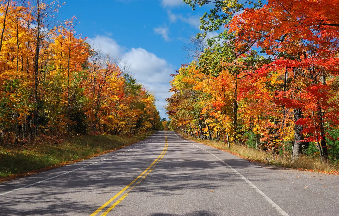 Photo wallpaper road, autumn, forest, the sky, trees, highway