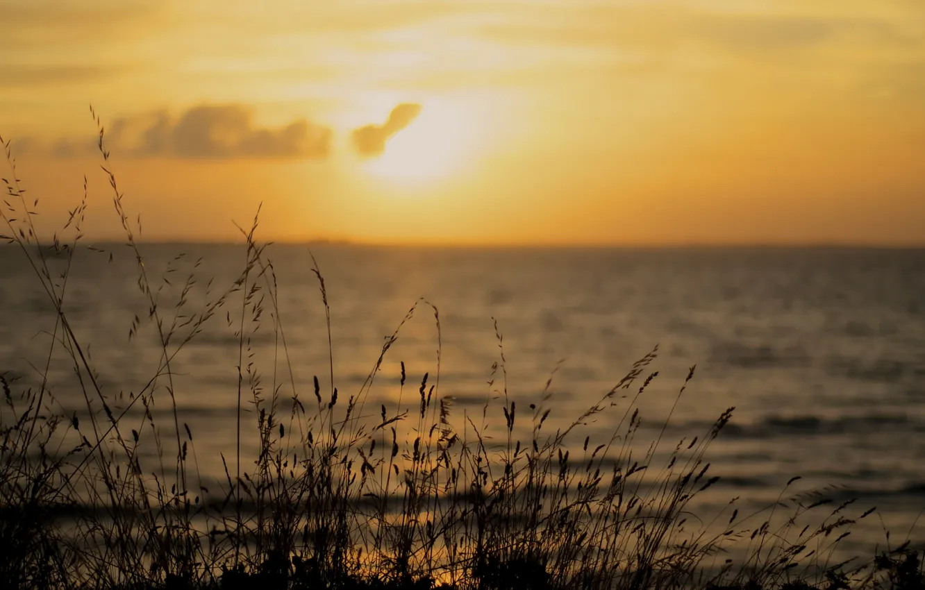 Photo wallpaper sea, beach, sunset, stem, horizon, orange sky