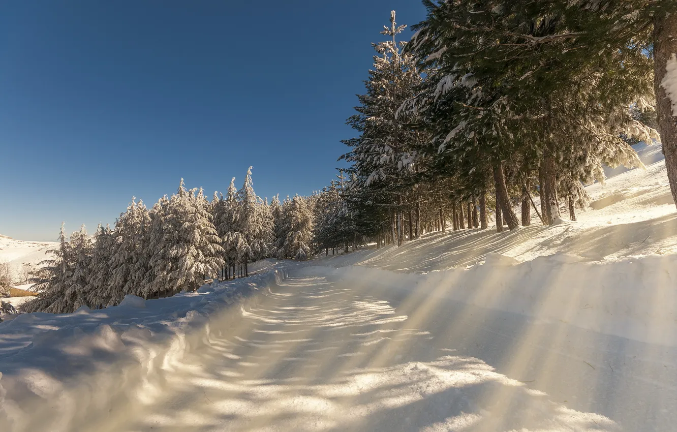 Photo wallpaper winter, road, snow, landscape, nature, morning