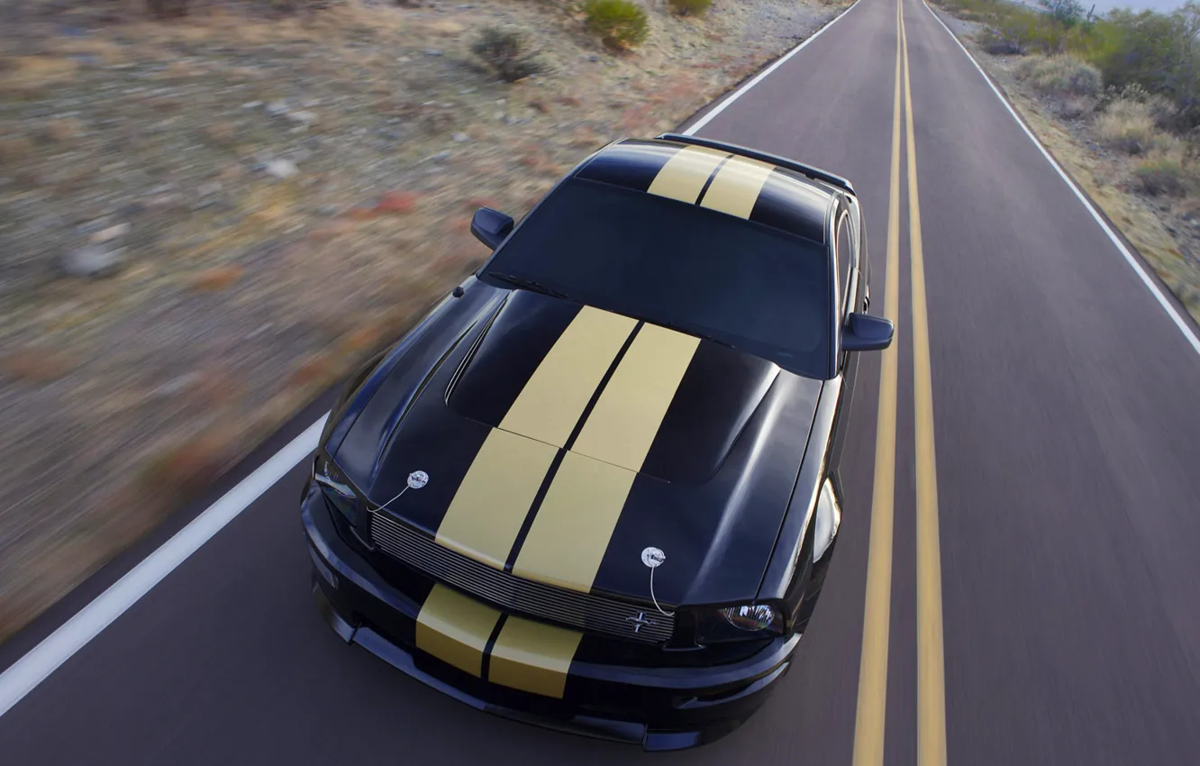 Photo wallpaper road, strip, ford, shelby gt-500