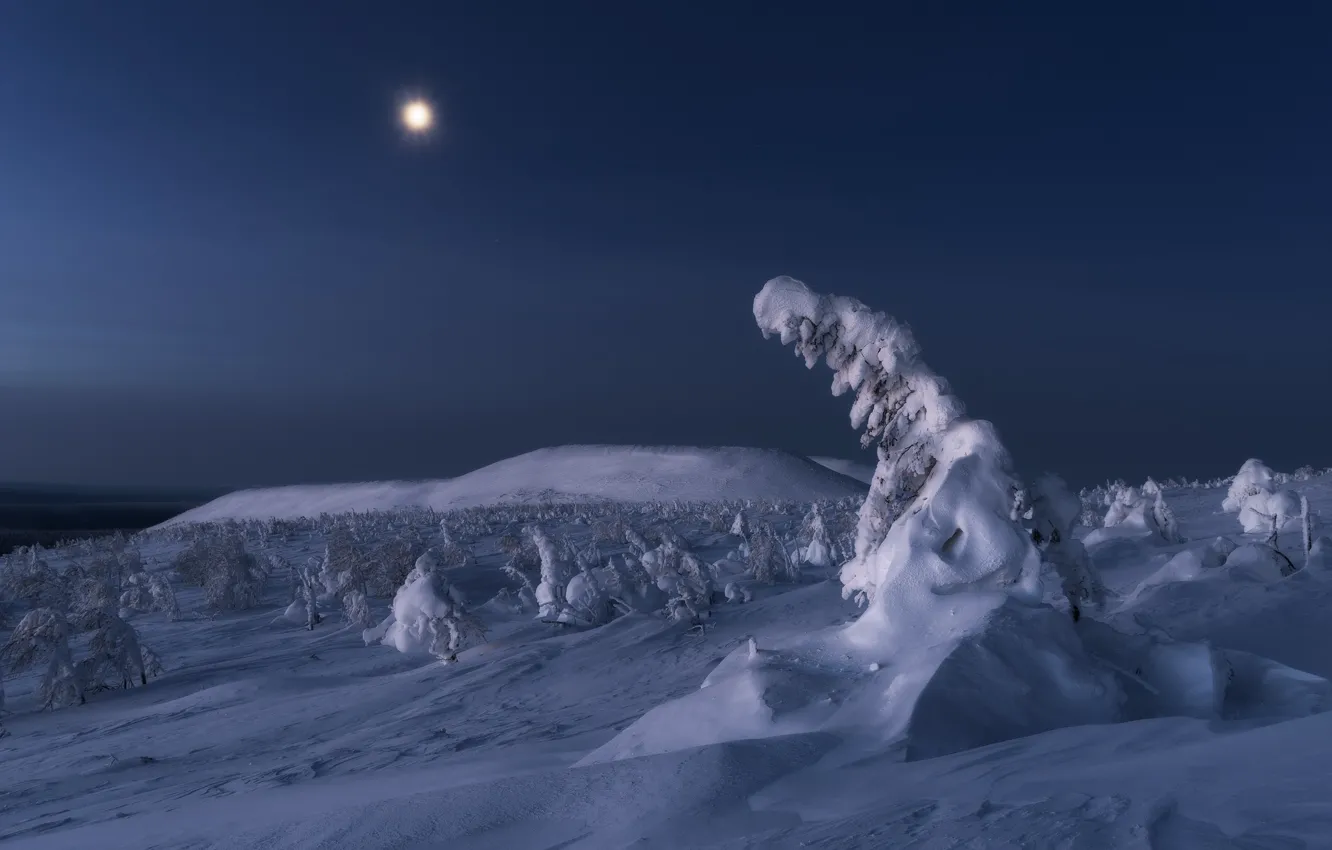 Photo wallpaper winter, snow, trees, landscape, mountains, night, nature, the moon