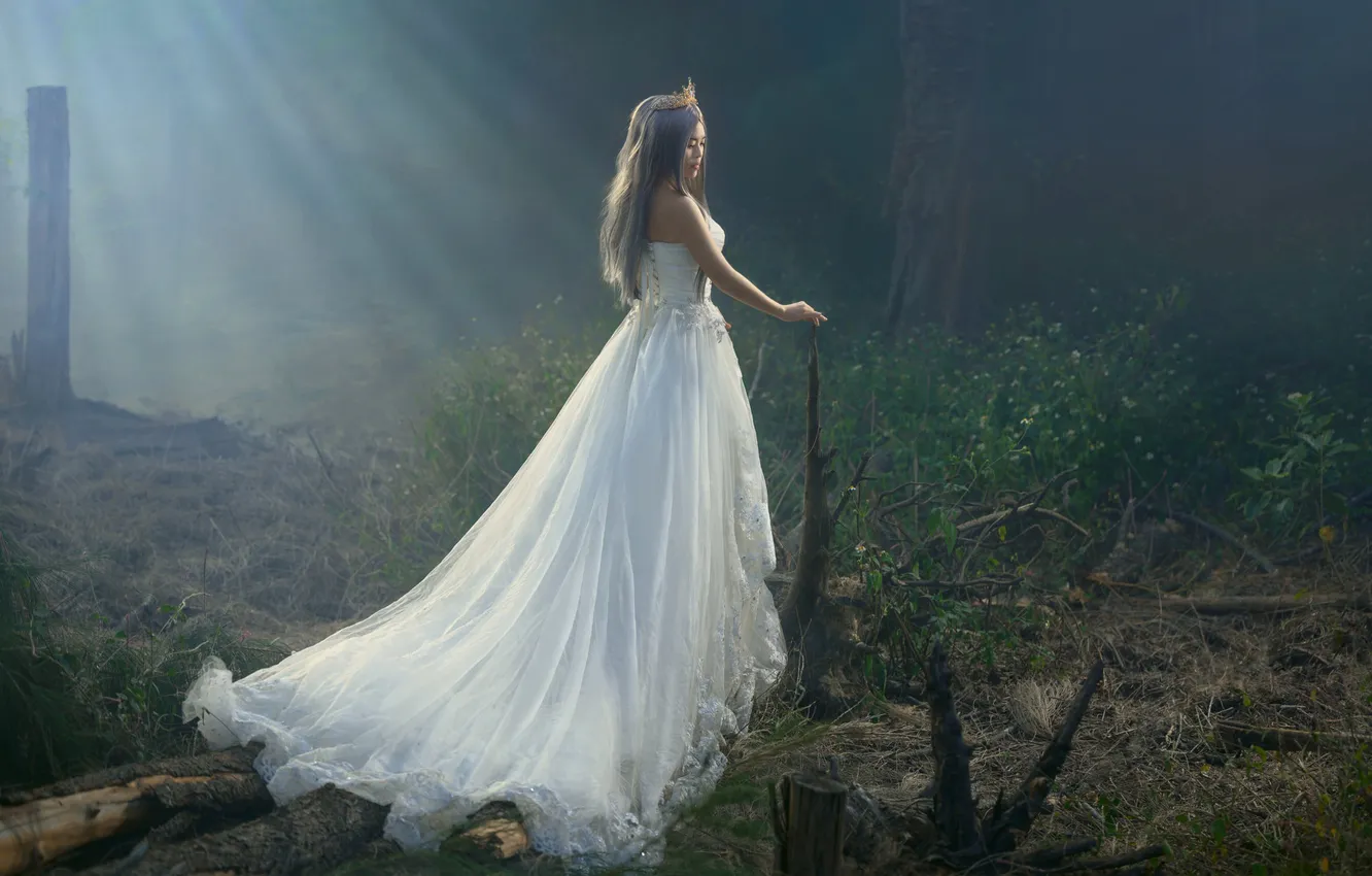 Photo wallpaper girl, rays, light, decoration, branches, nature, pose, fog